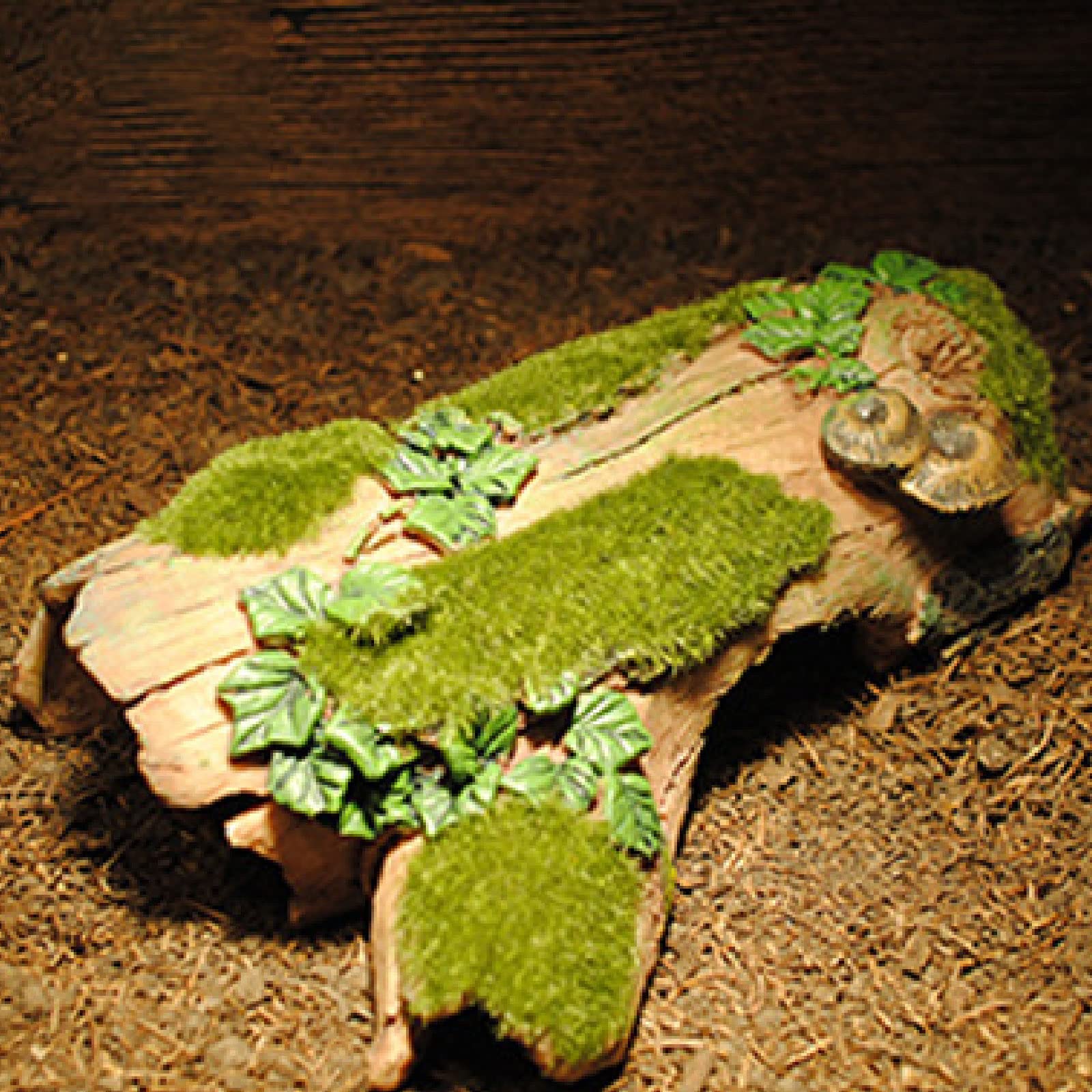 Pietra Di Calcio Per Acquario - Per Tartarughe, Rettili E Animali Terrestri, Integratore Naturale - Foto 8