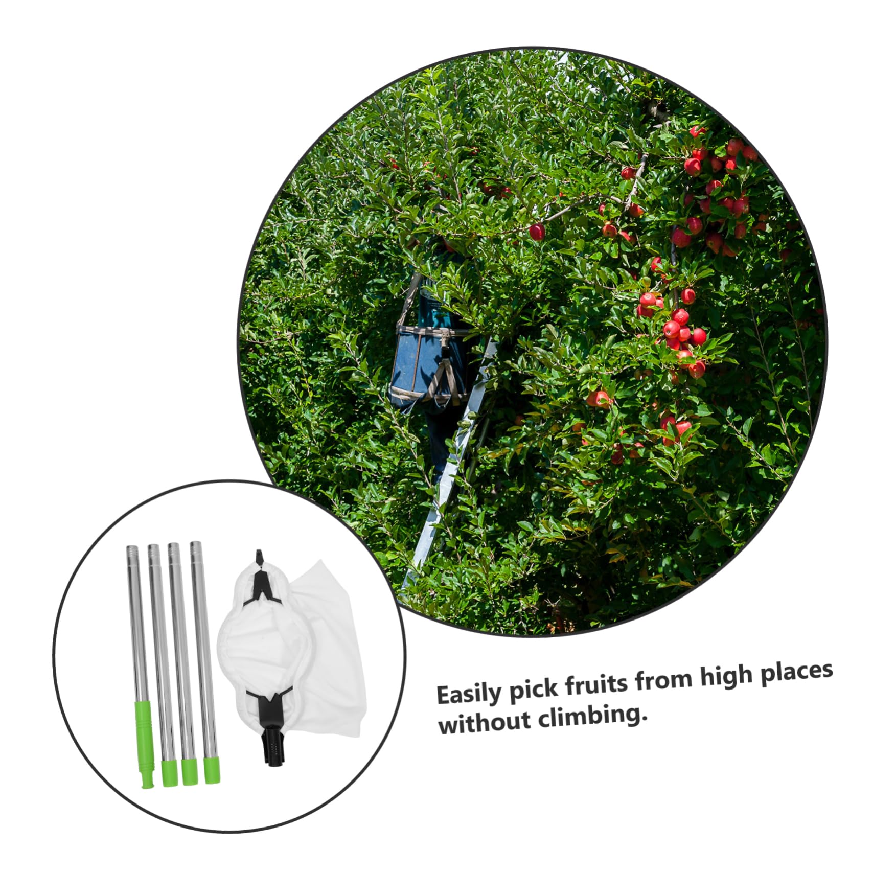 1 Set Raccoglitrice Di Frutta Aerea Gabbia Frutta Strumenti Per La Raccolta Delle Mele Raccoglitore Di Arance Palo Per La Raccolta Della Frutta Silver Acciaio Inossidabile