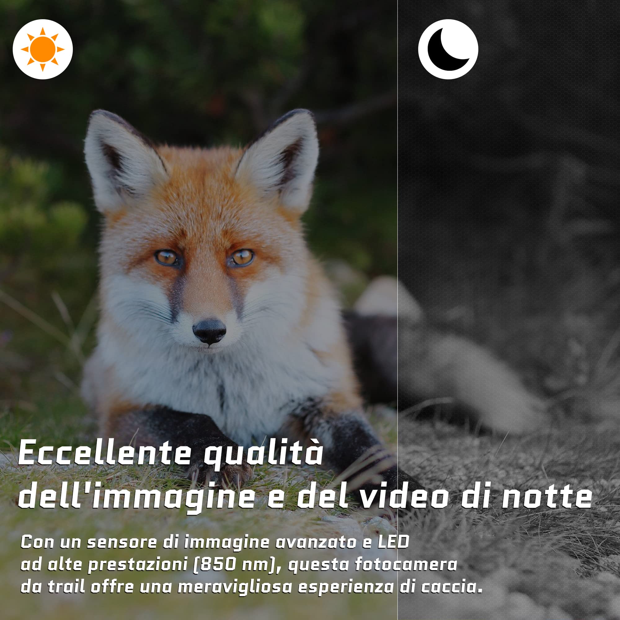 Camojojo Trace Fototrappola con SIM 4G LTE, Foto trappola infrarossi invisibili, Fotocamera caccia con IP66 impermeabile, Scheda SD da 32 GB, Multifunzioni APP, Tempo di funzionamento più lungo