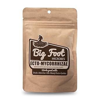 Big Foot Ecto Mycorrhizae Water Soluble Powder for Woody Plants - Shrubs, Arborvitae, Oak, Conifers, Christmas Trees - 2 Ounces