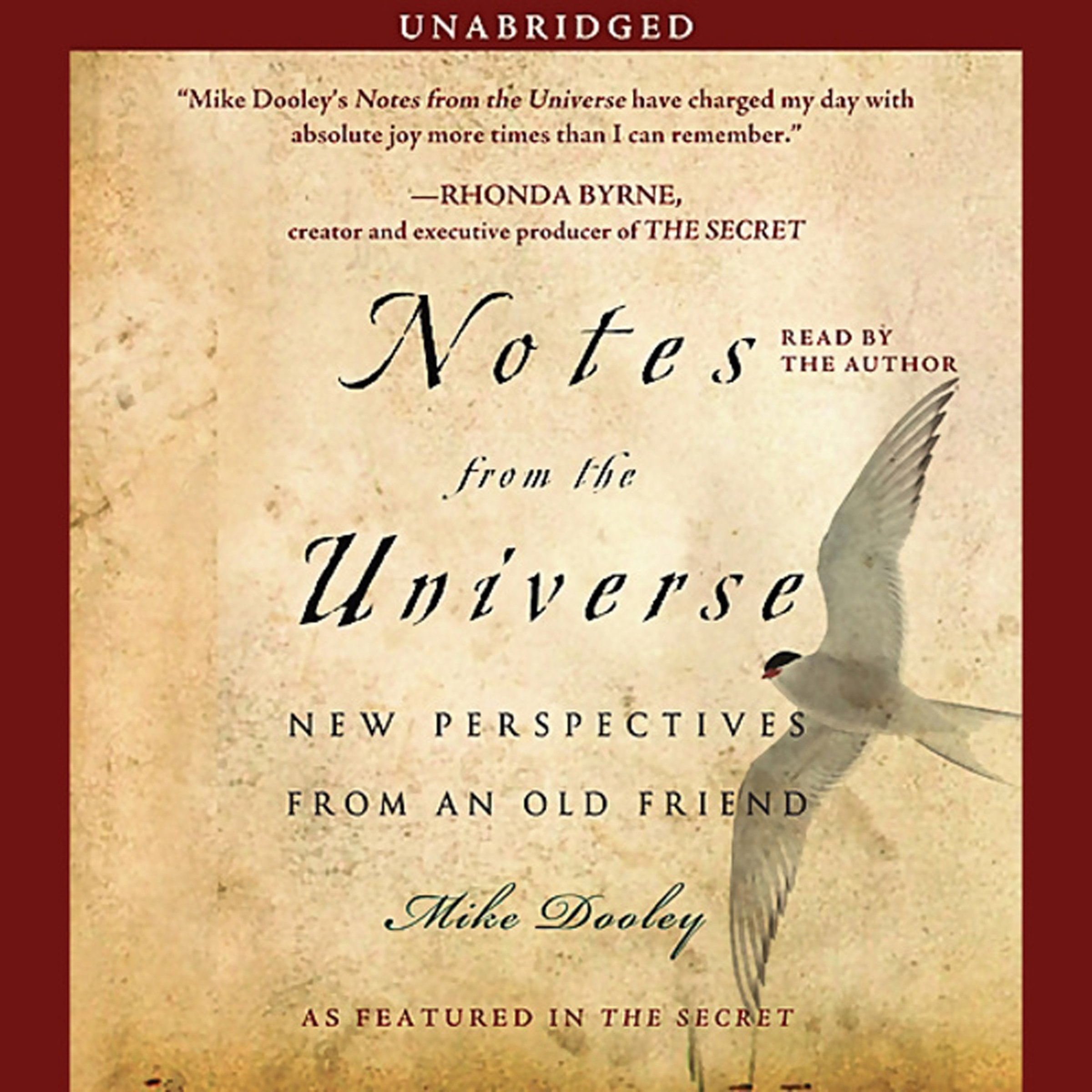 Cover art for Notes from the Universe