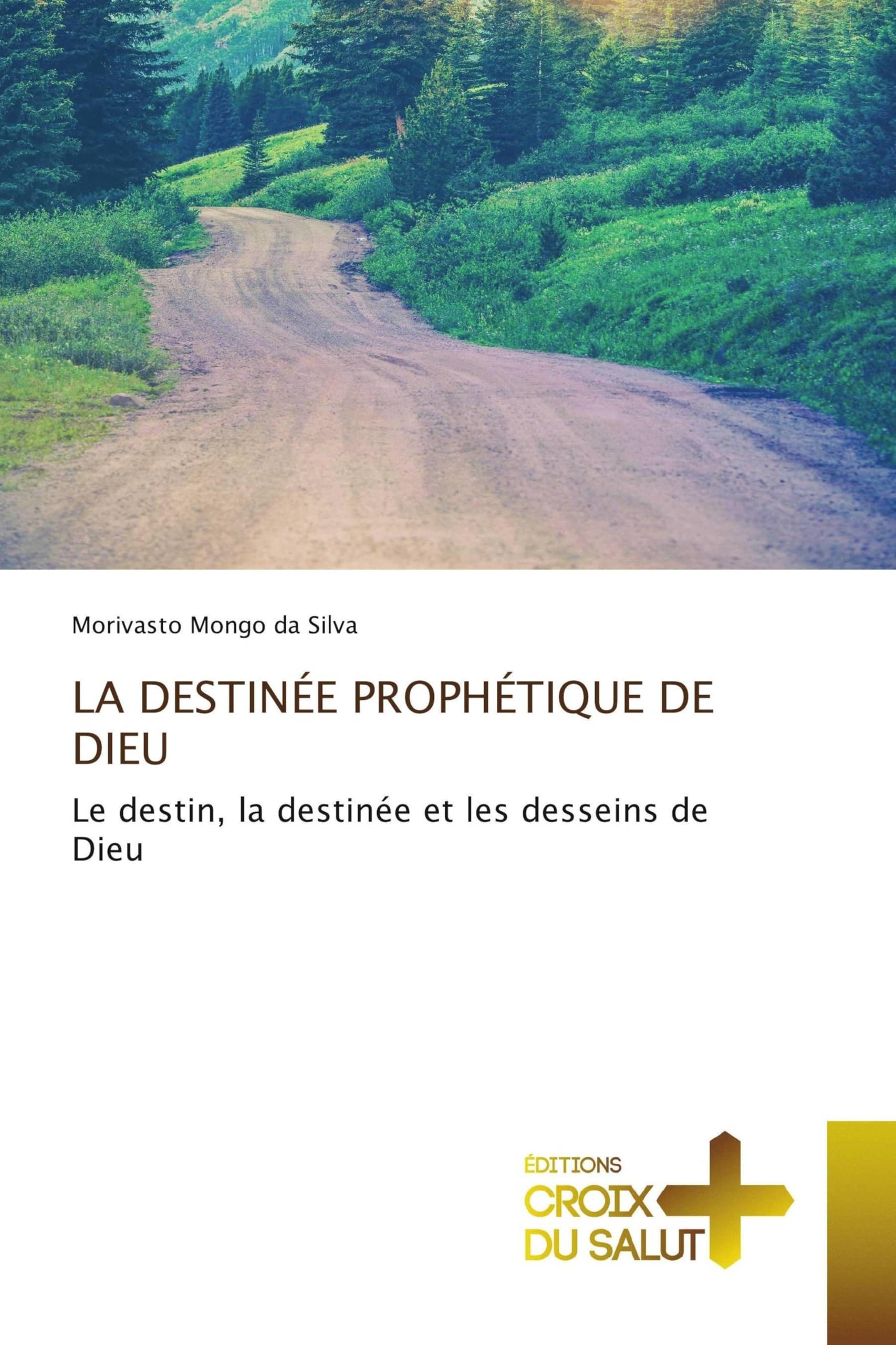 La Destinée Prophétique de Dieu: Le destin, la destinée et les desseins de Dieu