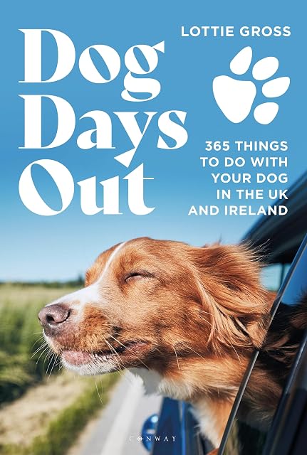 Portada de Dog Days Out