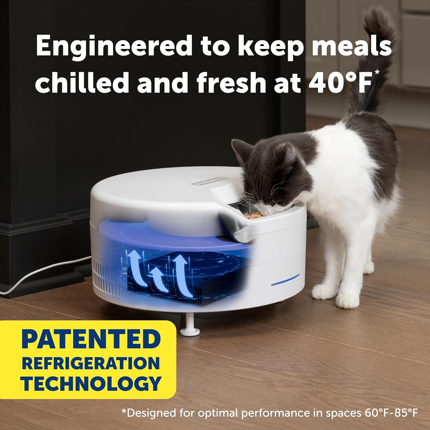 PetSafe FreshFeed Refrigerated Pet Feeder Automatic Wet Food Feeder for Cats & Small Dogs App Control 6 Fresh Meals Stainless Steel Inserts White