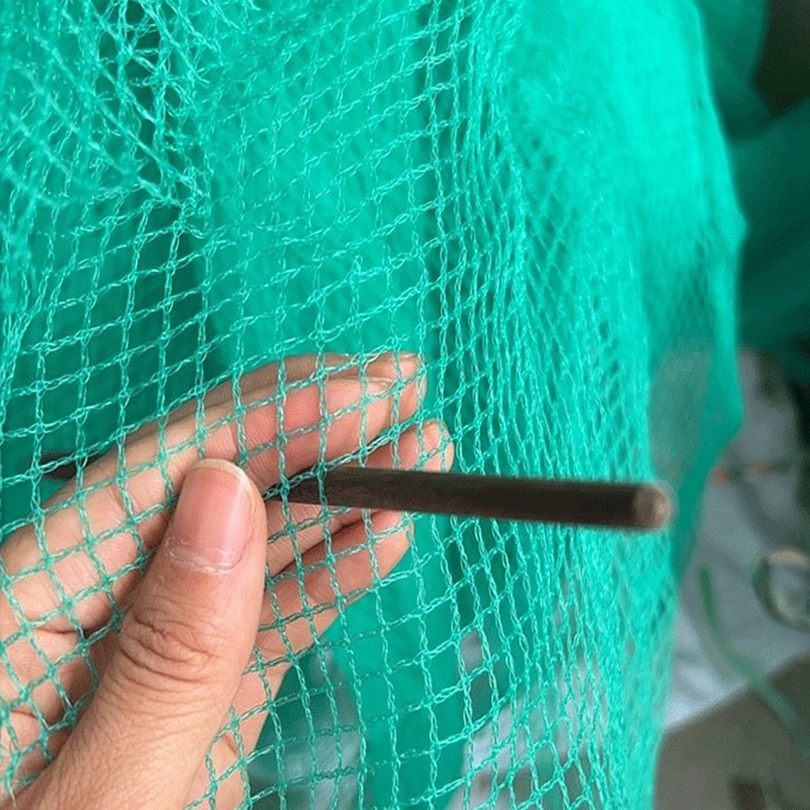 Rete Anti-Uccelli Resistente per Piante da Giardino - 12x50 m, Maglia Anti-invecchiamento per Alberi da frutto e ortaggi, Protezione Durevole Contro Uccelli e parassiti.
