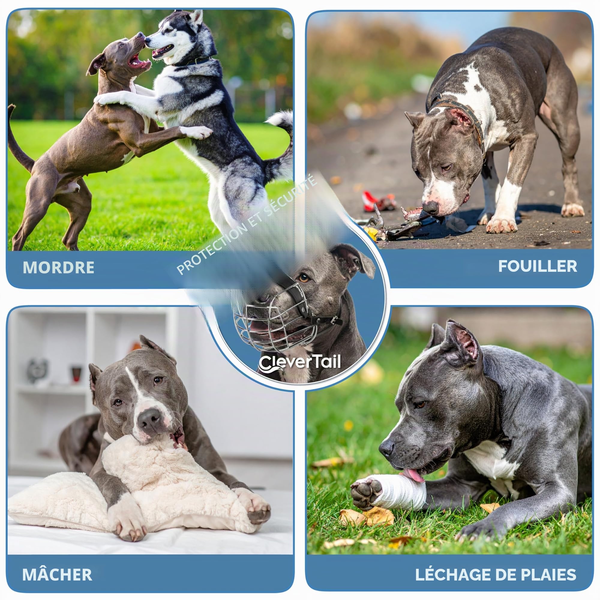 Muselière en métal pour Pitbull de grande taille – Muselière panier pour chiens avec sangles en cuir réglables – Muselière en cage en acier pour chiens pour éviter les morsures