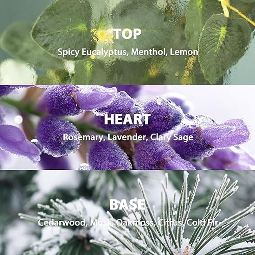 Miniatura 3 de Juego de difusor de varillas de 3.52 onzas, difusor perfumado con varillas, difusor de varillas de fragancia para el hogar, para decoración de