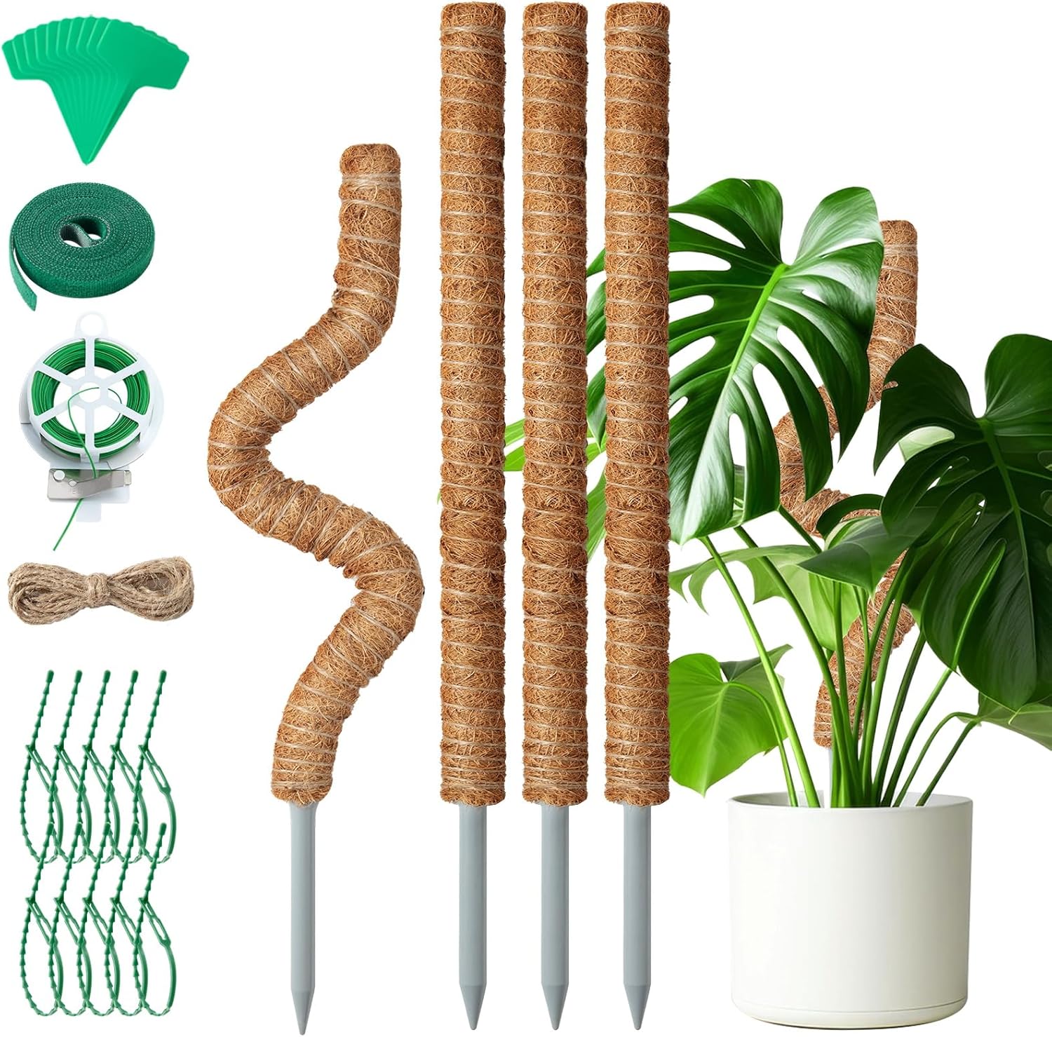 Tutores Mactoou 4 piezas, 65cm para plantas de interior y exterior 1 Mactoou 4 Piezas Tutores para Plantas, 65cm Plegable Tutor Monstera, Trepadoras Fibra de Coco Soporte para Plantas de Interior y Exterior