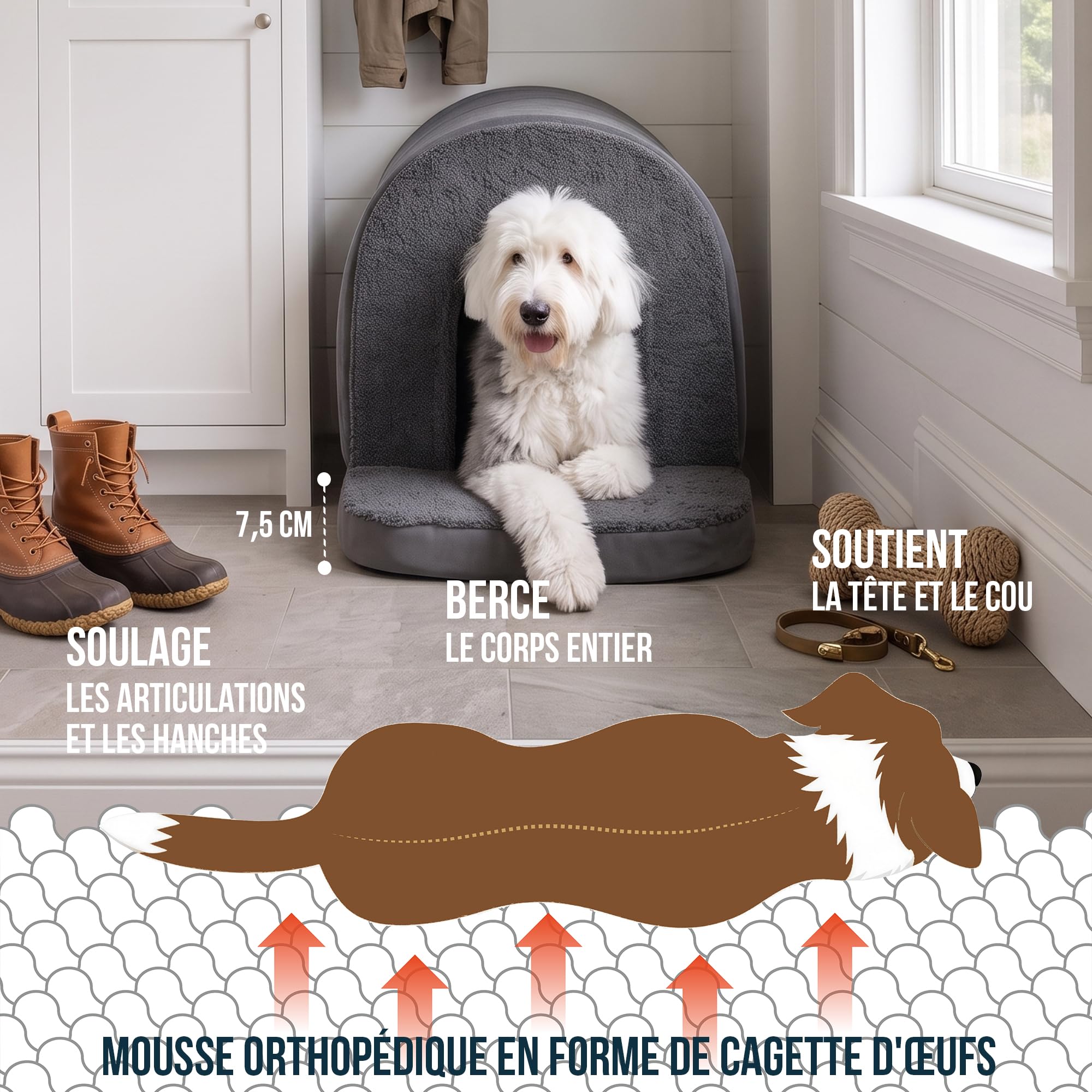 PELZIN Lit Orthopédique pour Chien Maisonnette – Chenil Intérieur avec Mousse Alvéolée (Type Œuf) – Abri surélevé pour Animal avec Grotte Couverte – Adapté à Une Caisse de 91 cm – 89x59 cm