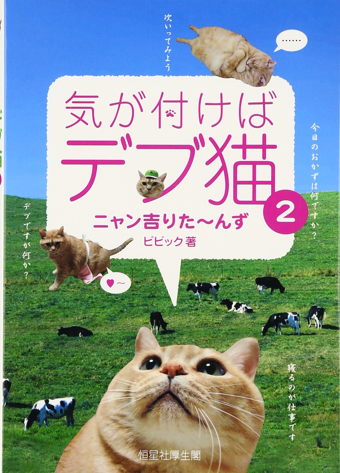 気が付けばデブ猫2 ビビック 本 通販 Amazon 気が付けばデブ猫2 ビビック 本 通販 Amazon