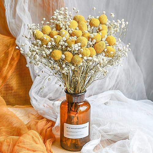 Miniatura 3 de 30 piezas de hierba natural de las pampas, decoración de hierba seca de las pampas, ramo de hierba de caña alta para boda, flores bohemias,