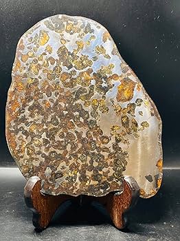 Amazon.co.jp: 【鑑別書付き】 パラサイト隕石 231.5g 男女兼用