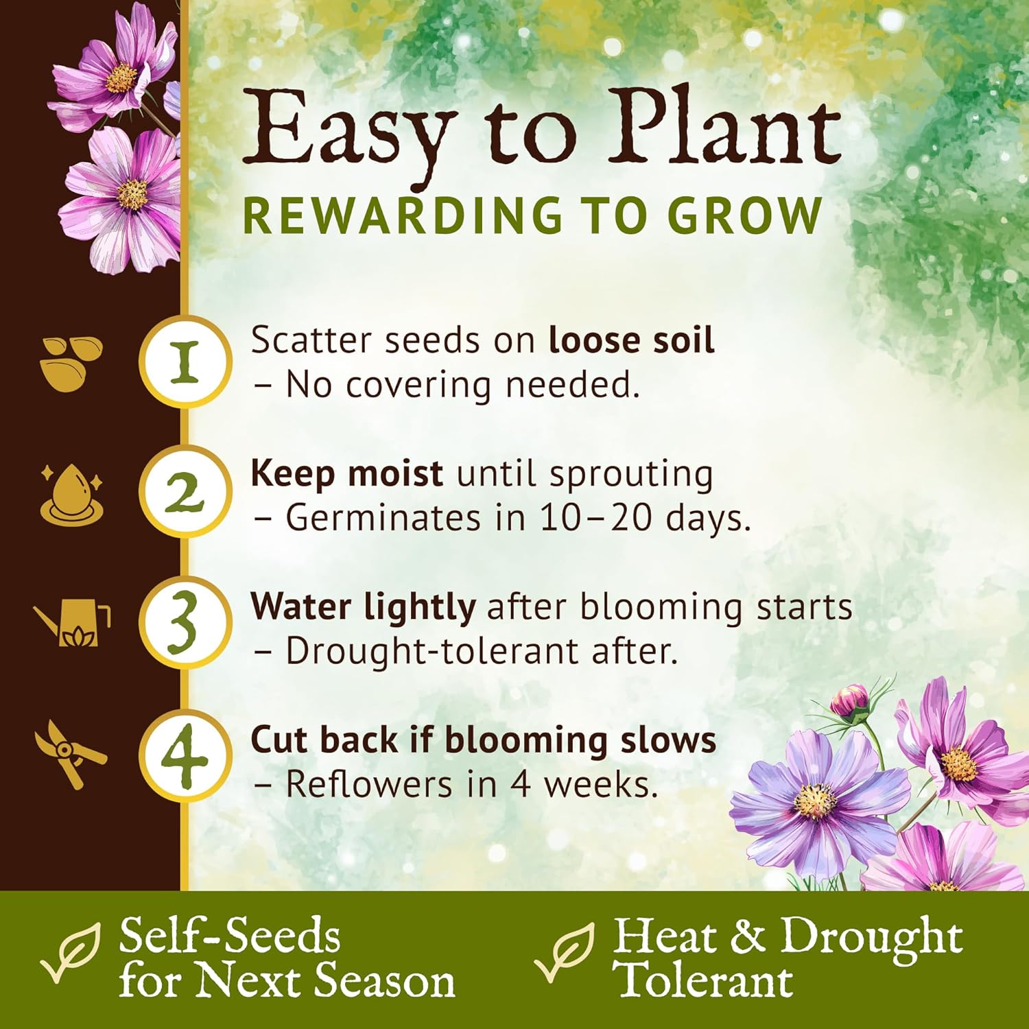 Everwilde Sensation Tall Cosmos Seeds 1 Lb Mylar – Easy to Grow Annual Wildflowers – High Germination & Attracts Pollinators – Great Wildflower Seed for Gardens, Pots & Bouquets