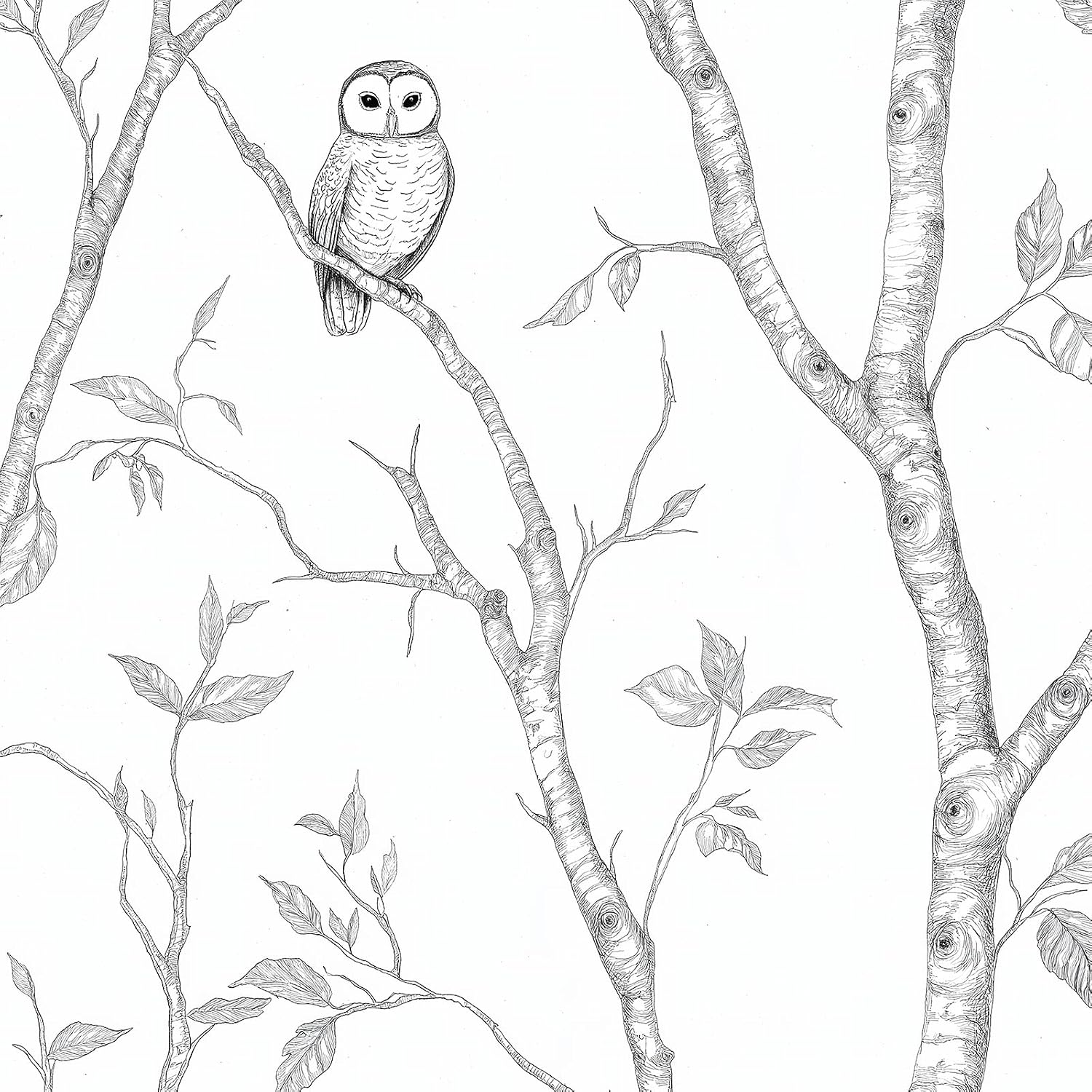 Neutral Birch Tree Owls Shelf Liner Contact Paper Peel and Stick Wallpaper for Nursery Kids Adults Bedroom Wall Living Room Kitchen Bathroom Cabinets Arts Crafts Decal 17.3X117 Inches
