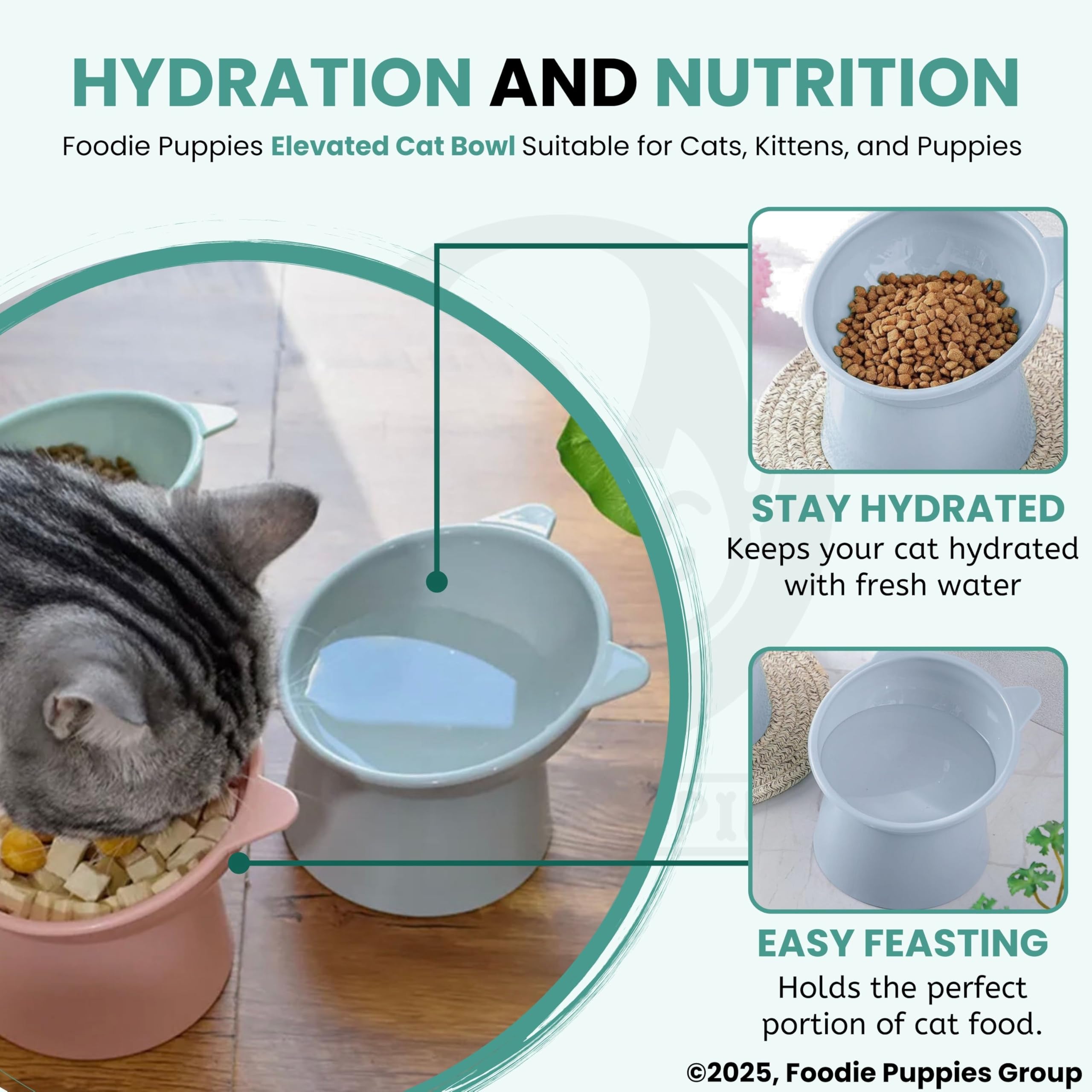 Foodie Puppies Elevated Cat Bowl Feeder Food Water Feeder Bowl for Cats, Kittens & Puppies - (Set of 2) | Persian Cat Food Bowl Tilted Raised Bowl Anti Vomiting 15° Slanted Bowl (Color May Vary) 4
