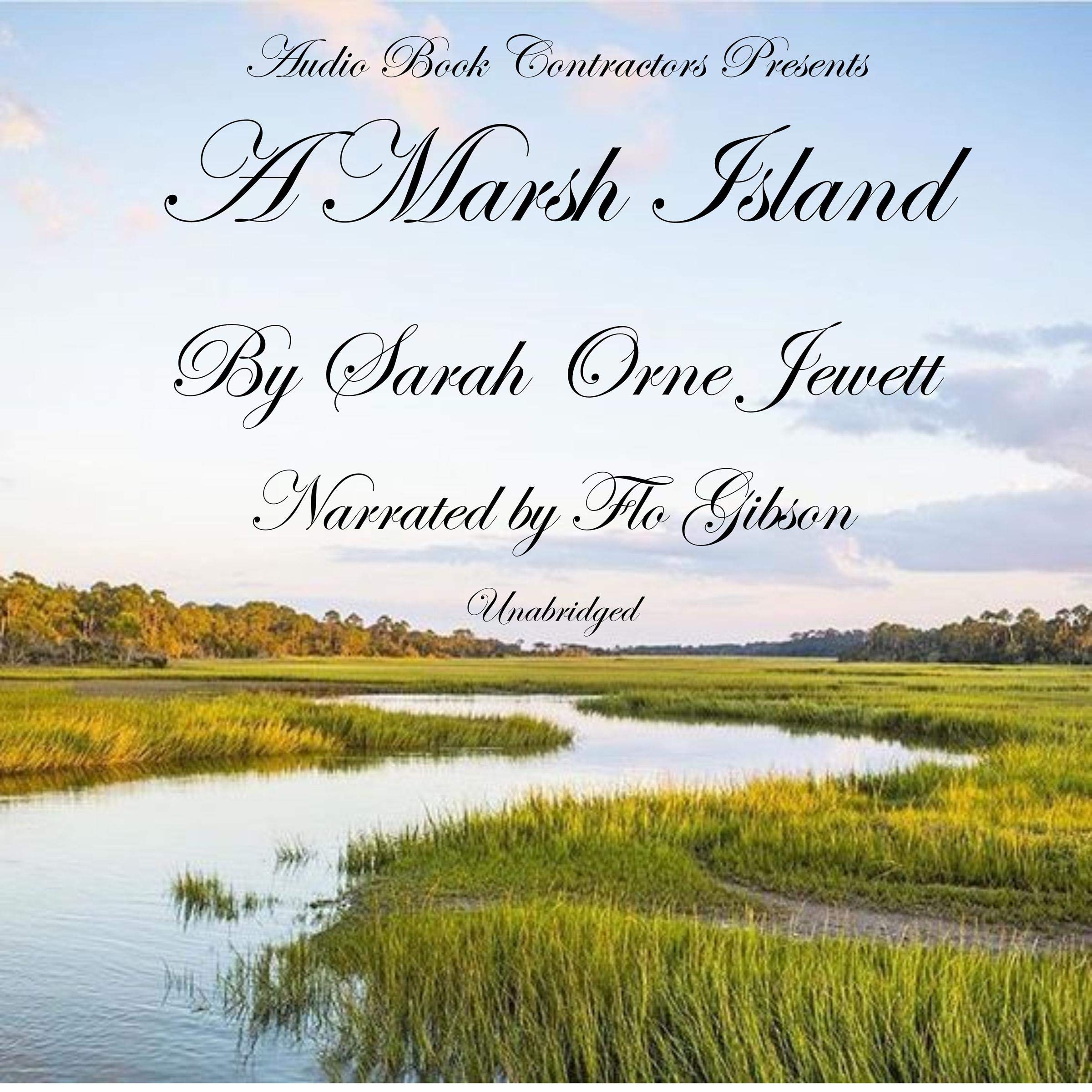 A Marsh Island