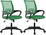 PayLessHere Home Office Chair Adjustable Ergonomic Cheap Computer Chair Lumbar Support Armrest Executive with 360 Degree Swivel Chair for Men Women Adults (Black)