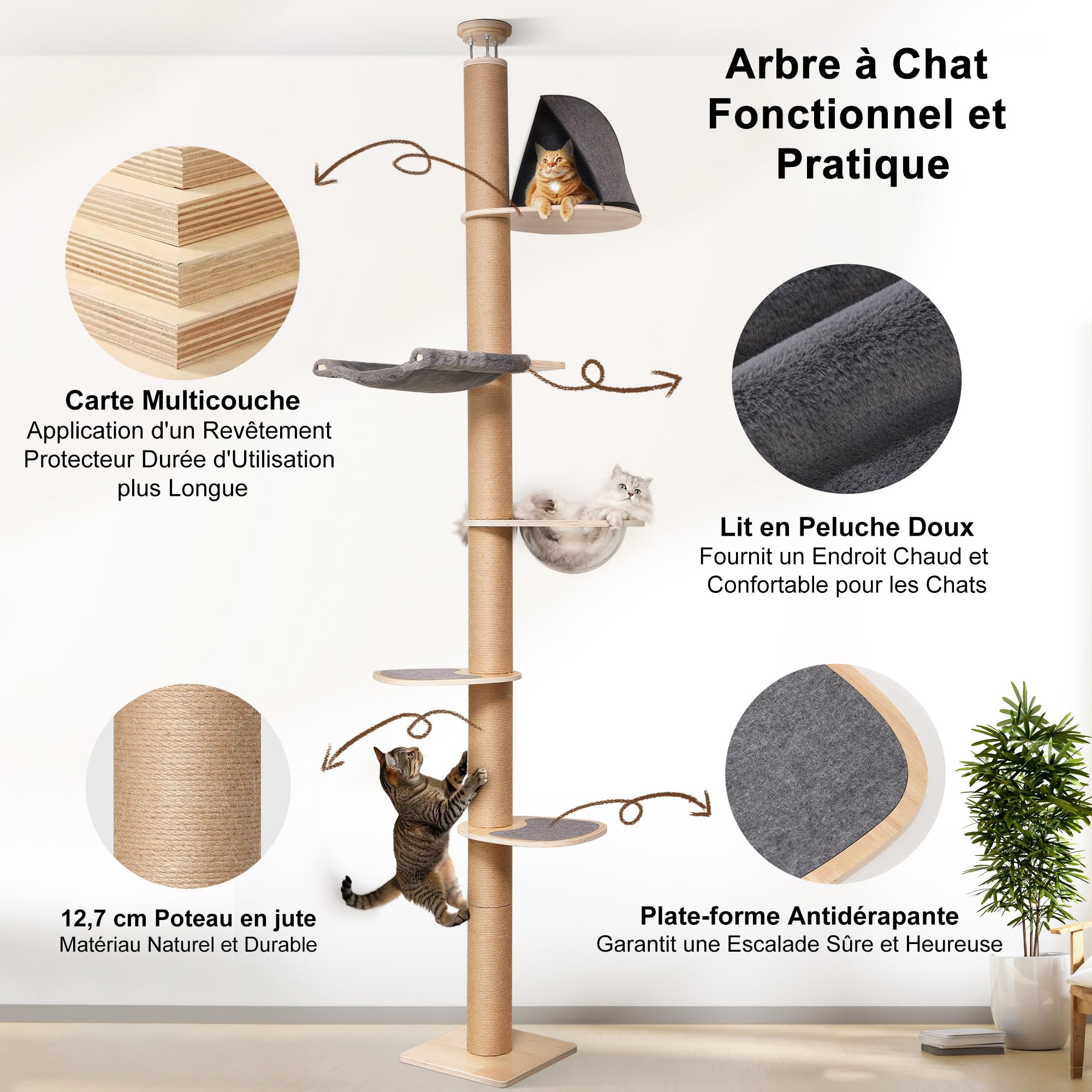 FUKUMARU Arbre à Chat du Sol au Plafond, Tour d'escalade à 6 Niveaux de Hauteur Réglable avec Griffoirs Épais, Centre d'Activité pour Chat avec Capsule Transparente et Hamac Douillet