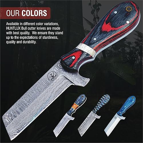 Miniatura 7 de Cuchillo de caza de acero de Damasco con funda para cinturón, cuchillo cortador de toros afilado hecho a mano de 8 pulgadas, cuchillo de hoja fija