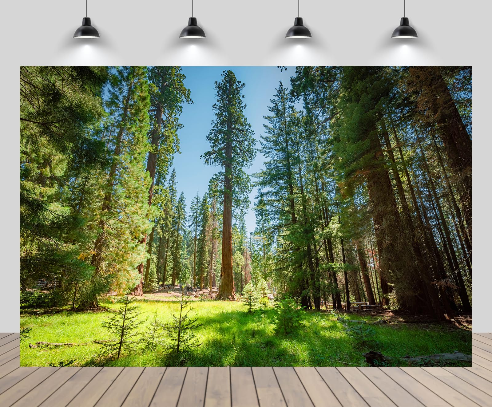 CHNYWORK 5x4ft Sequoia National Park Backdrop Redwoods Woods Green Meadow Green Forest Sunny Scenery Background America Summer Travel Hiking Camp