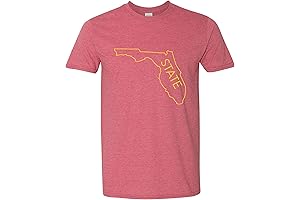 Men's Florida State University Outline Vintage Style Comfort Colors T-Shirt