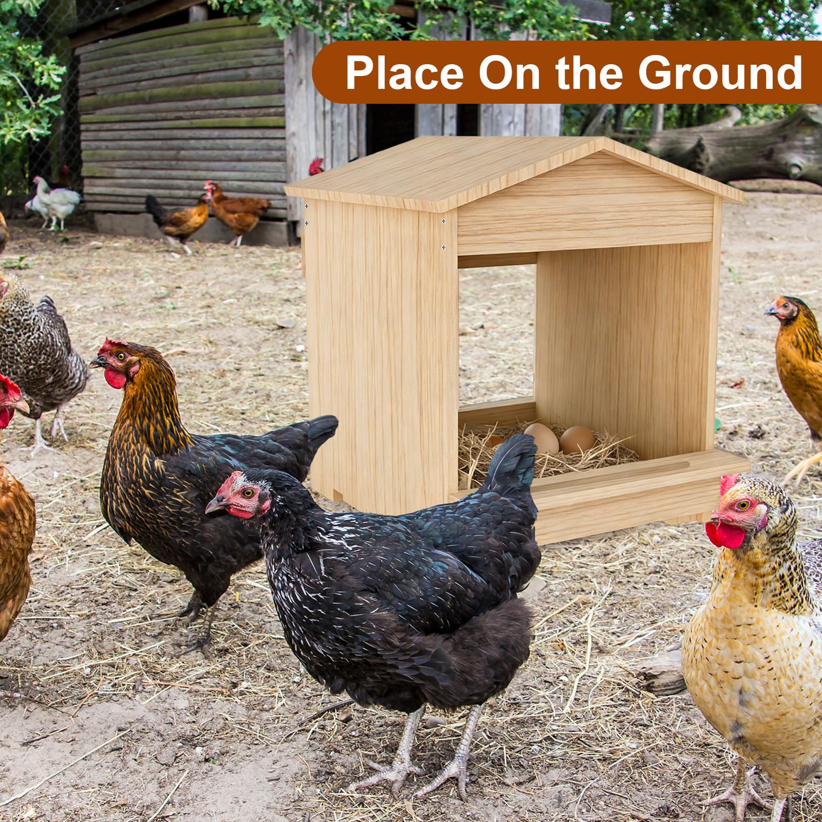 Pondoir Gallina, Nichetole da parete in legno, impermeabili per