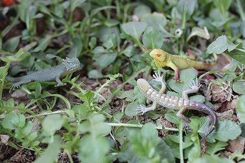 Miniatura 5 de Kvvdi 12pcs 5 Inch Colorful Fake Plastic Lizard Toys Action Figure Reptile Toy Lizards Realistic Favors