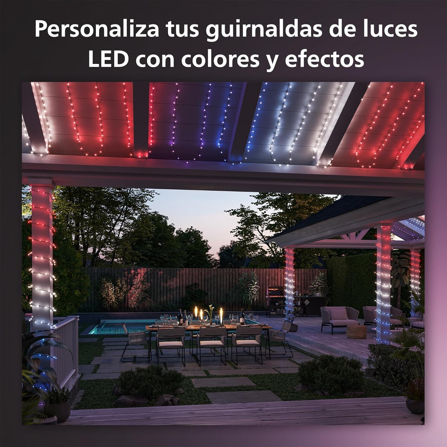 Philips Hue Guirnalda Festavia, Luz Blanca y de Colores, Regulable, 250 Micro LEDs, 20 m, Resistente al Agua, Compatible con Amazon Alexa, Echo, Echo Dot
