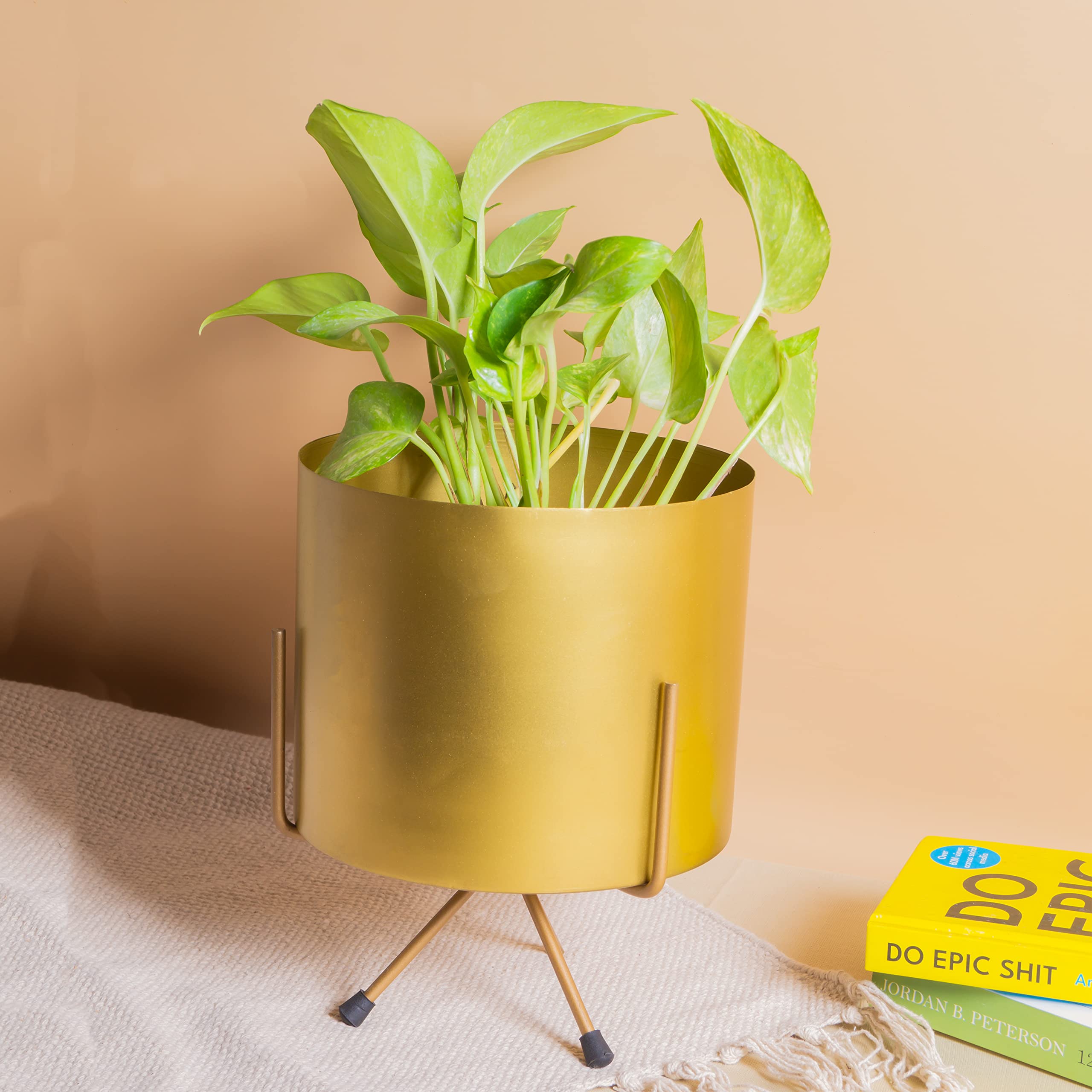 KYARI Exotic Contemporary, Metal Cylindrical Pots & Planters Pack of 1