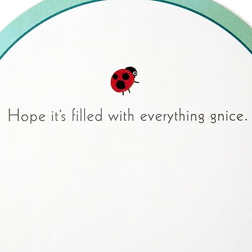 Miniatura 5 de Hallmark Paper Wonder - Tarjeta de cumpleaños desplegable (gnomos), número de modelo 599RZW1020