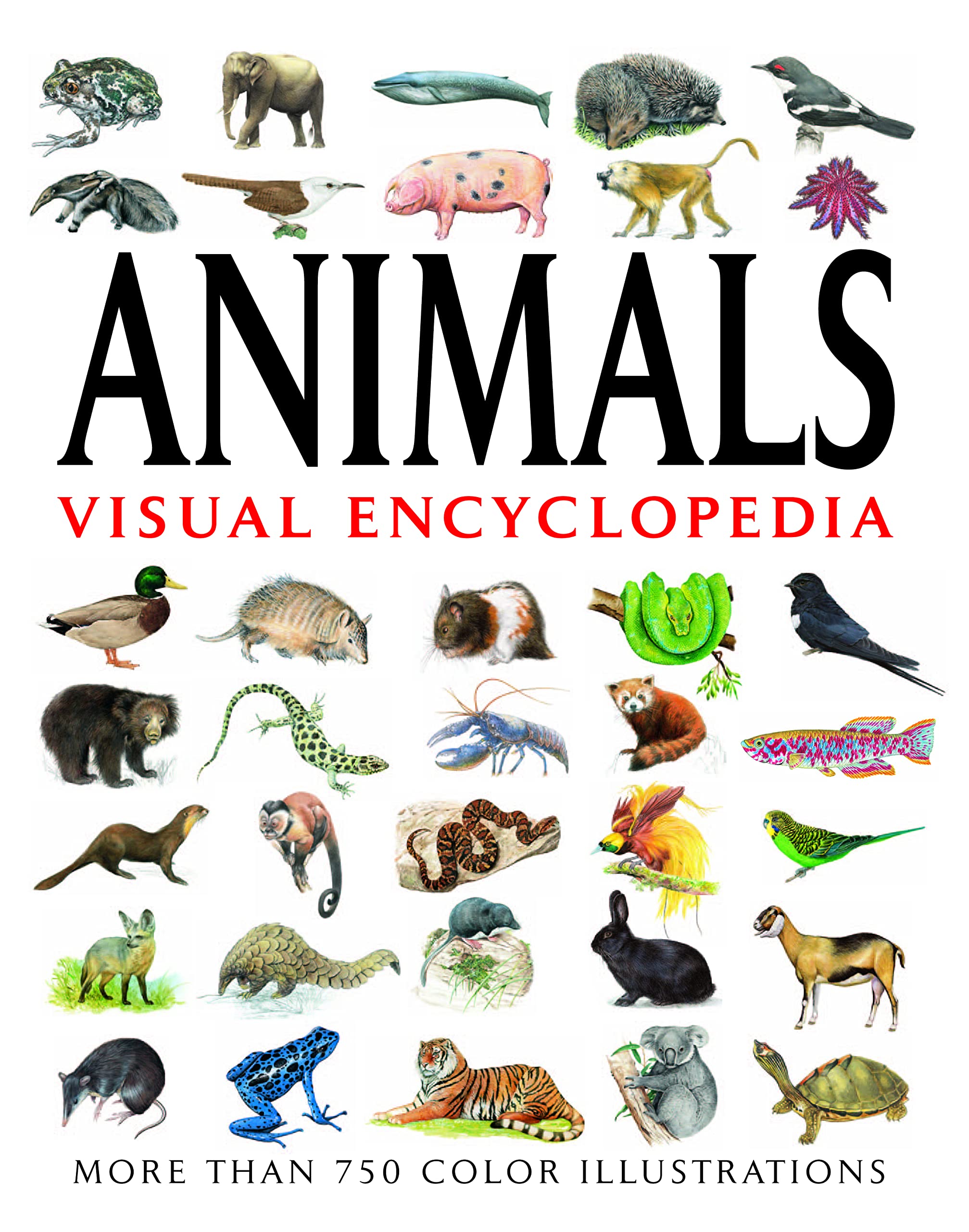 Animals Visual Encyclopedia: More Than 750 Colour Illustrations