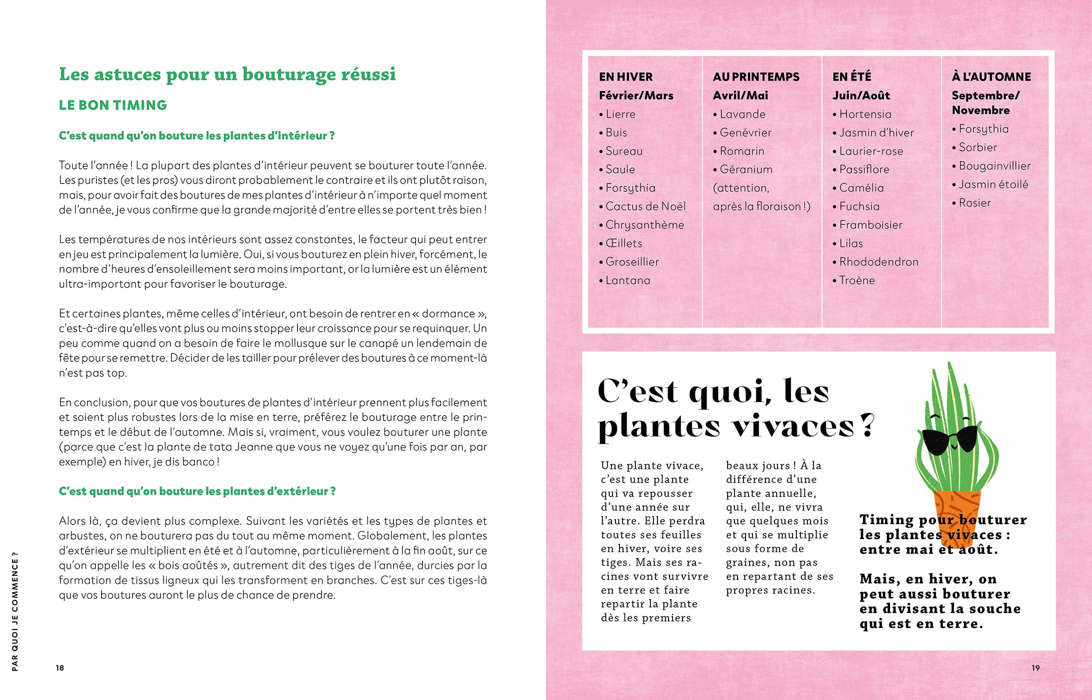 Faire pousser ses plantes gratos: Apprends à transformer un petit bout de tige en méga plante