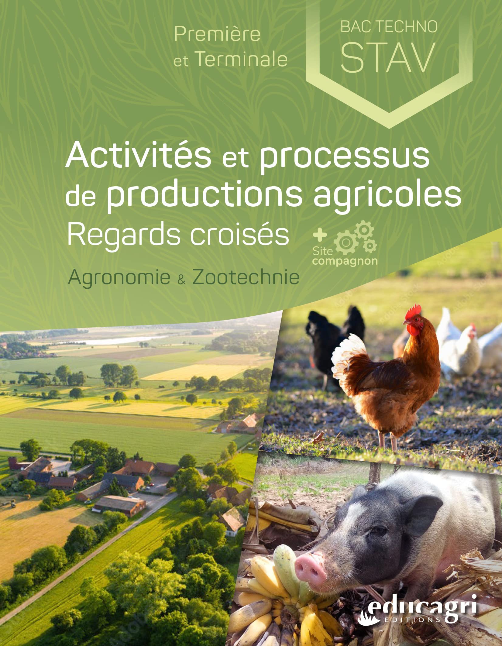 Activités et processus de productions agricoles 1ère et Tle Bac techno STAV: Regards croisés