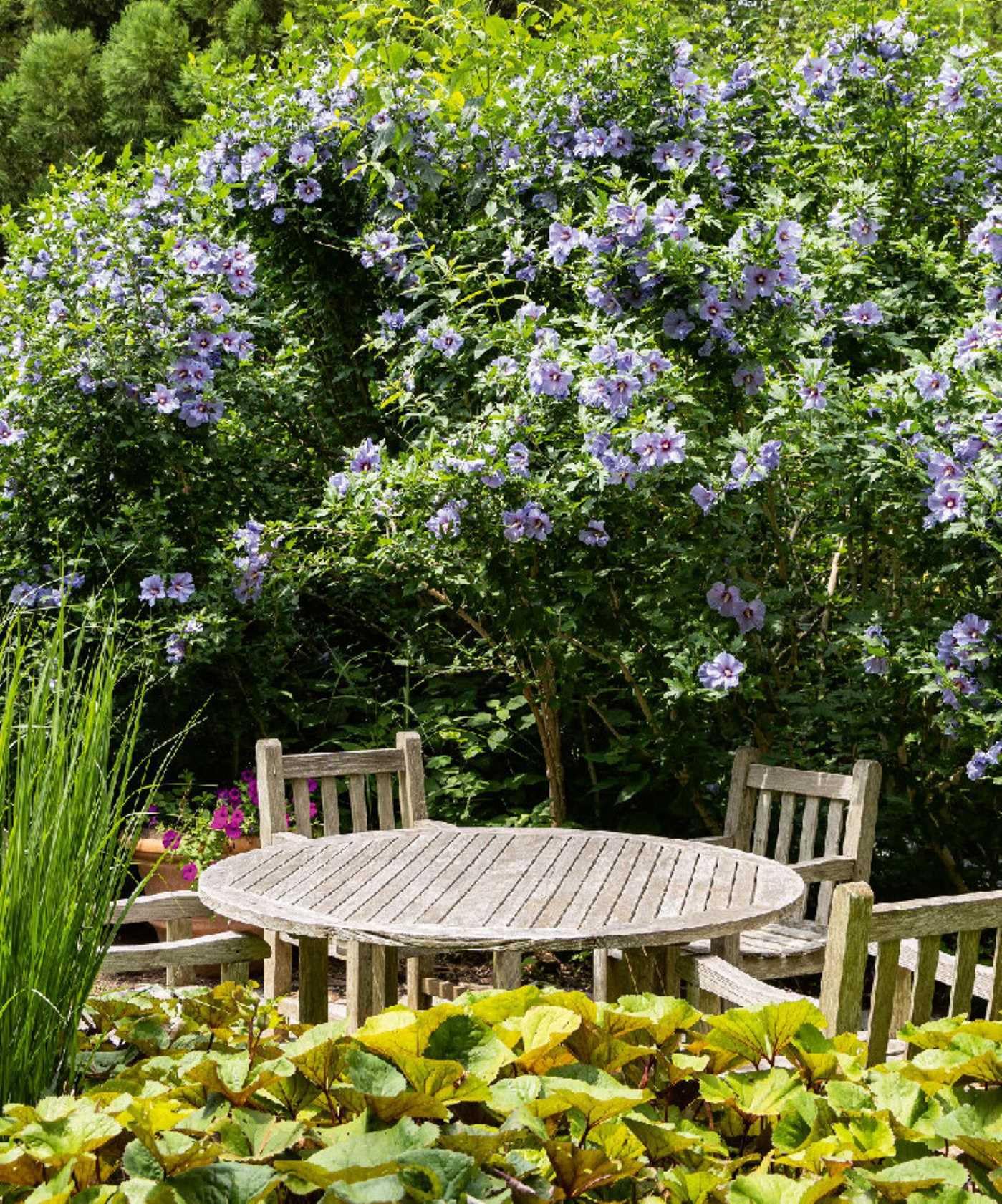 The Gardens of the Hamptons /anglais