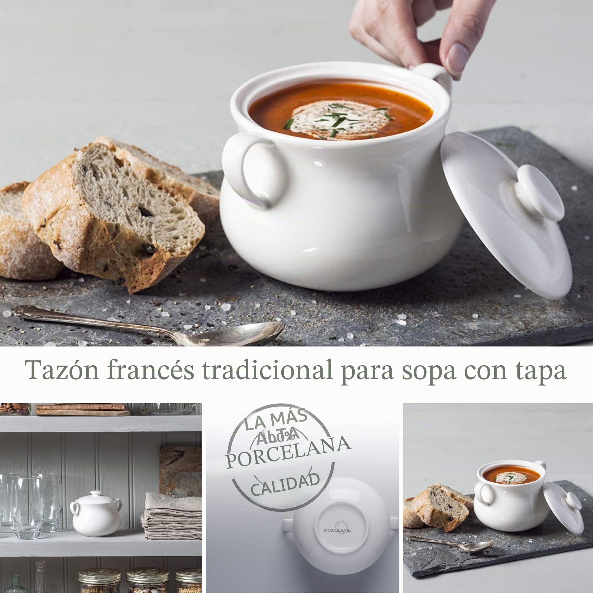 WM Bartleet & Sons 1750 T411 - Cuenco individual de porcelana tradicional con tapa para sopa y guiso de cebolla francesa con asas, 500 ml, color blanco