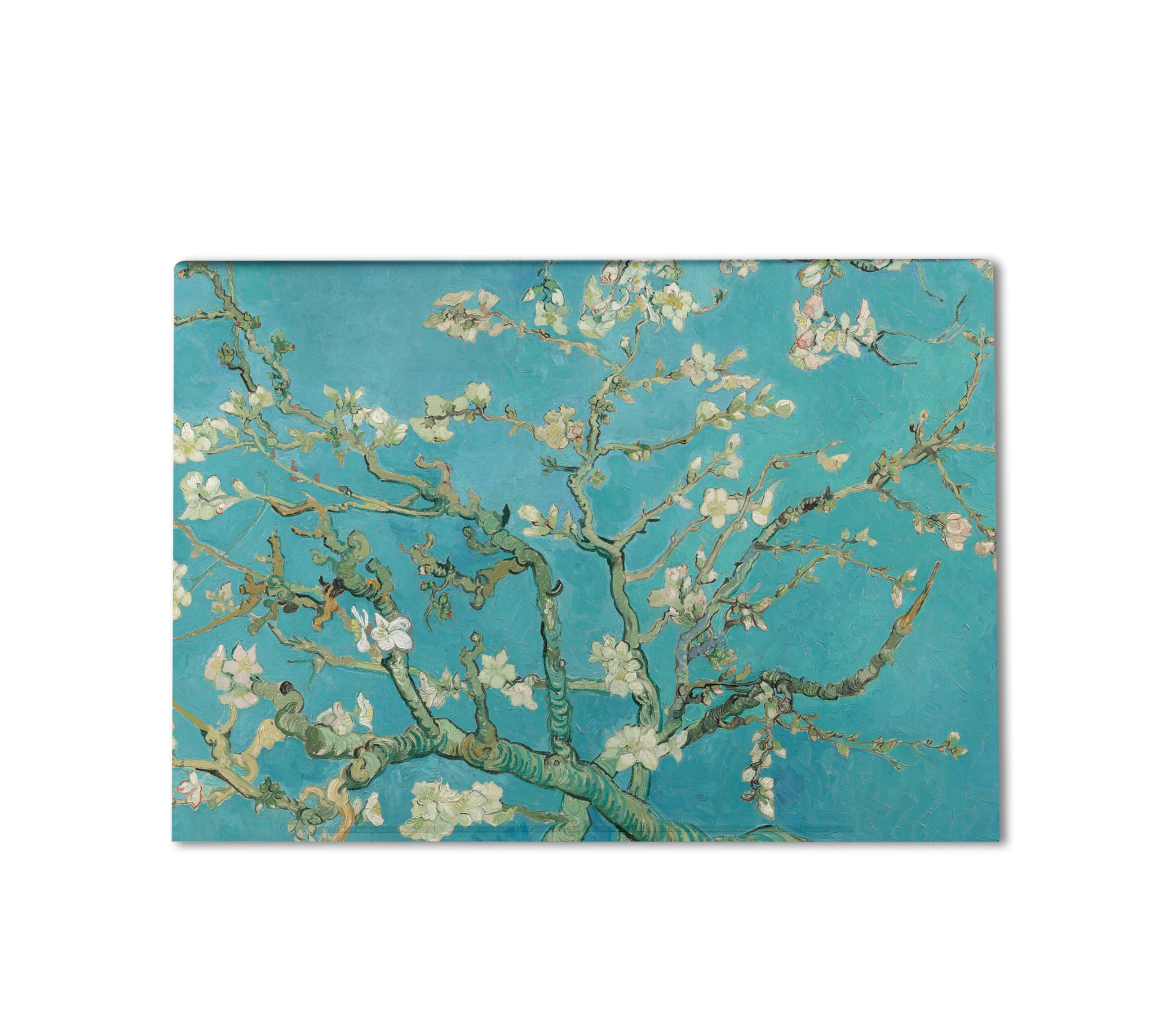 Gaming Skin Compatible with HP Envy x360 16” (2023) - Almond Blossom - Premium 3M Vinyl Protective Wrap Decal Cover - Easy to Apply | Crafted in The USA by MightySkins