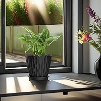 Vista 6 de Macetas SQKH de 4 pulgadas, juego de 6 macetas de interior, macetas con agujeros de drenaje y bandejas para orquídeas, violetas, suculentas, hierbas