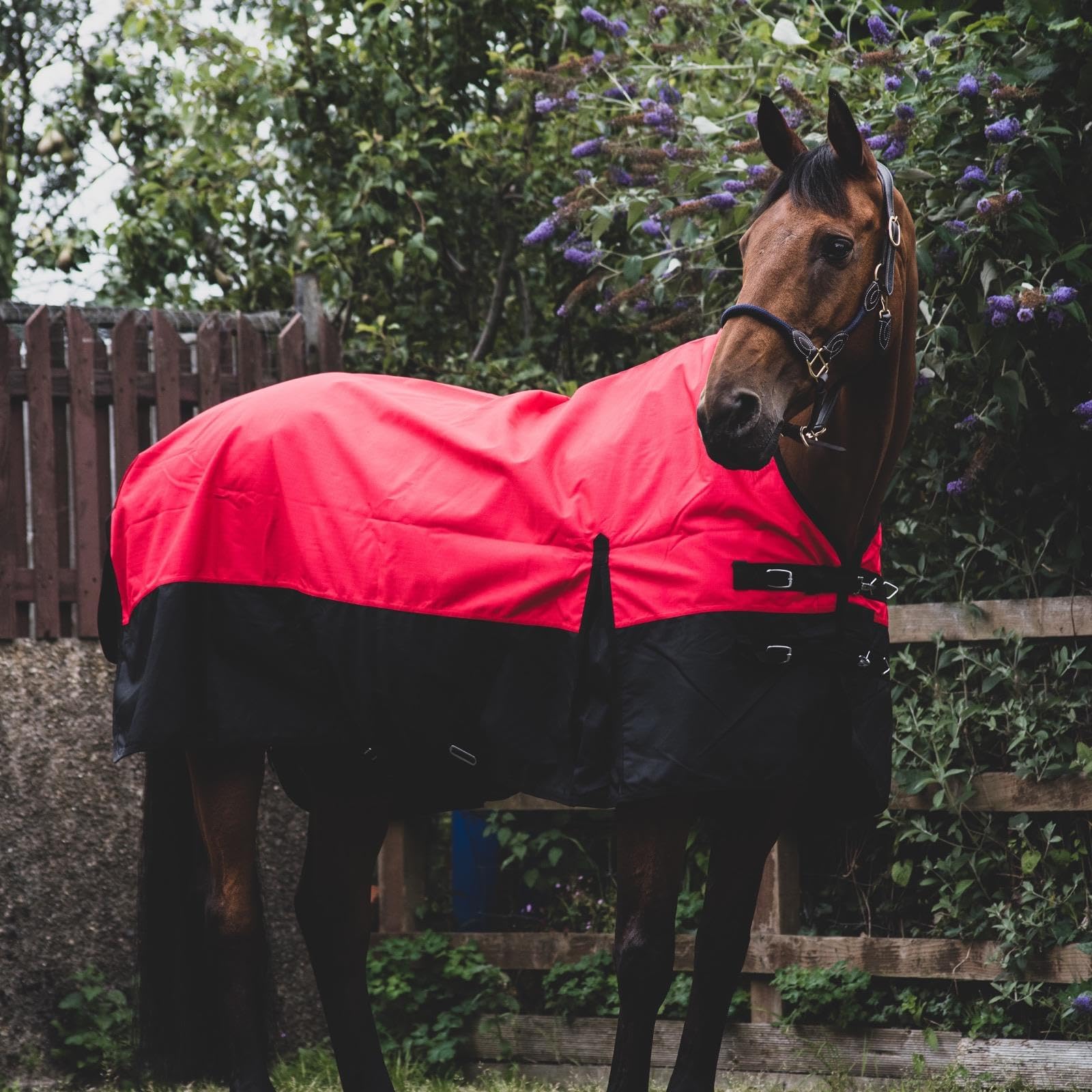 Equitack 1200D Winterdecke Pferd, 155cm | Regular Regendecke Pferd mit Fleece Lining | wasserdichte Outdoordecke Pferd | Red/Black