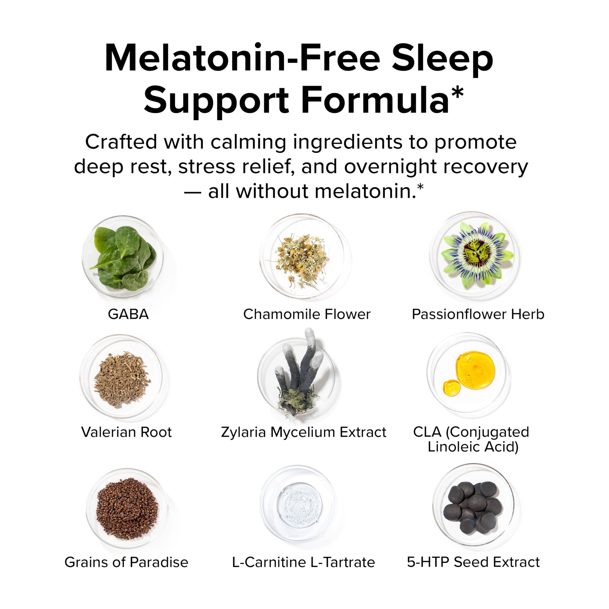 Night Shred Black Melatonin-Free Fat Burner & Sleep Support, 30 Servings — Amazon image 5