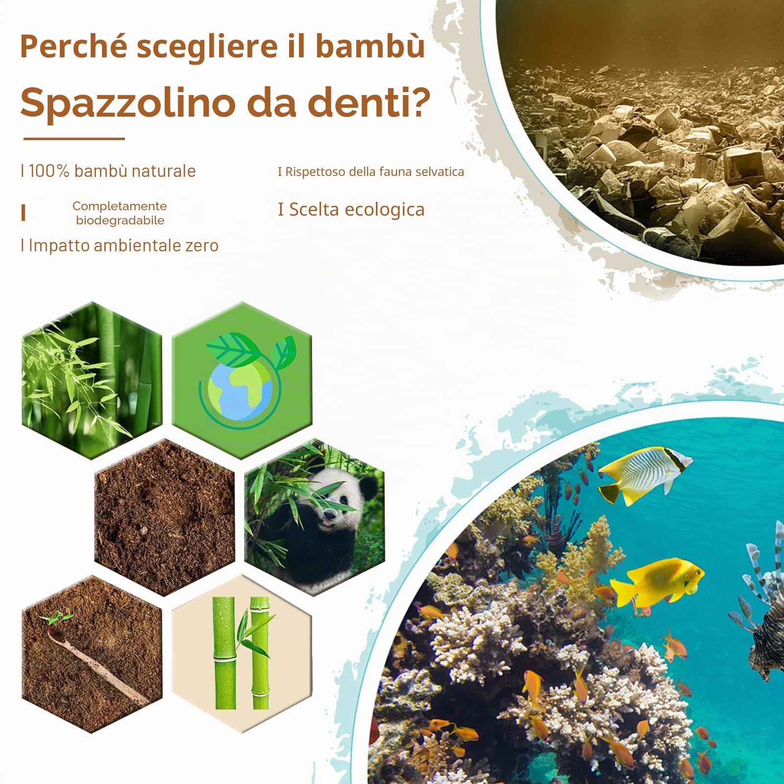 Spazzolino Bamboo, 100% Senza BPA Vegan Spazzolini Bamboo di Riutilizzabili e Biodegradabile, con Setole di Carbone Morbide e Disegno Individuale, Confezione Biodegradabile Sostenibile-10 Colori
