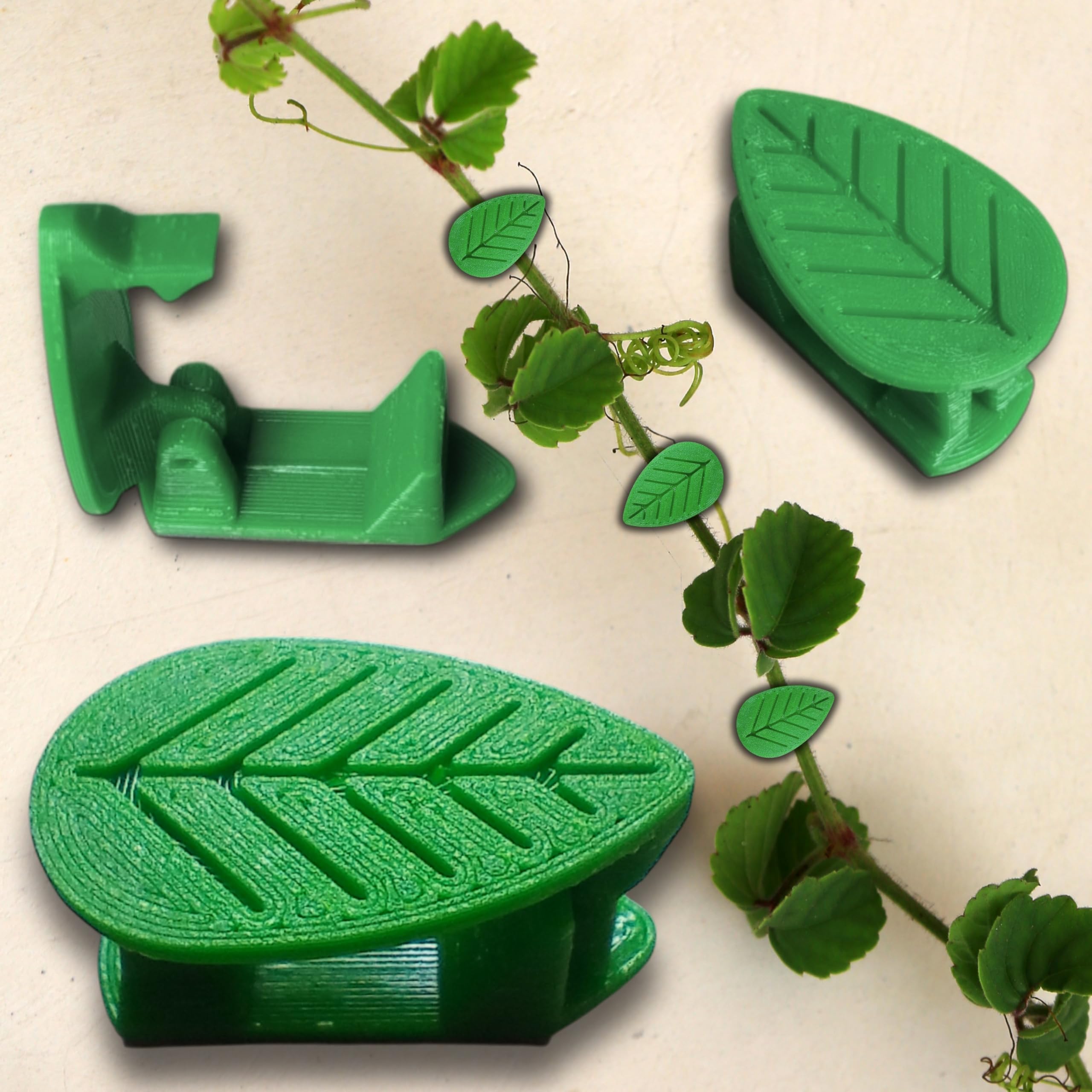 Leaf-Shaped Plant Support Clips – Reusable Wall-Mountable Vine Holders with 3M Strong Adhesive – Ideal for Climbing Plants, Cable Management, and Fairy Lights (Leaf Shape Clips, 10, Count)-image-28
