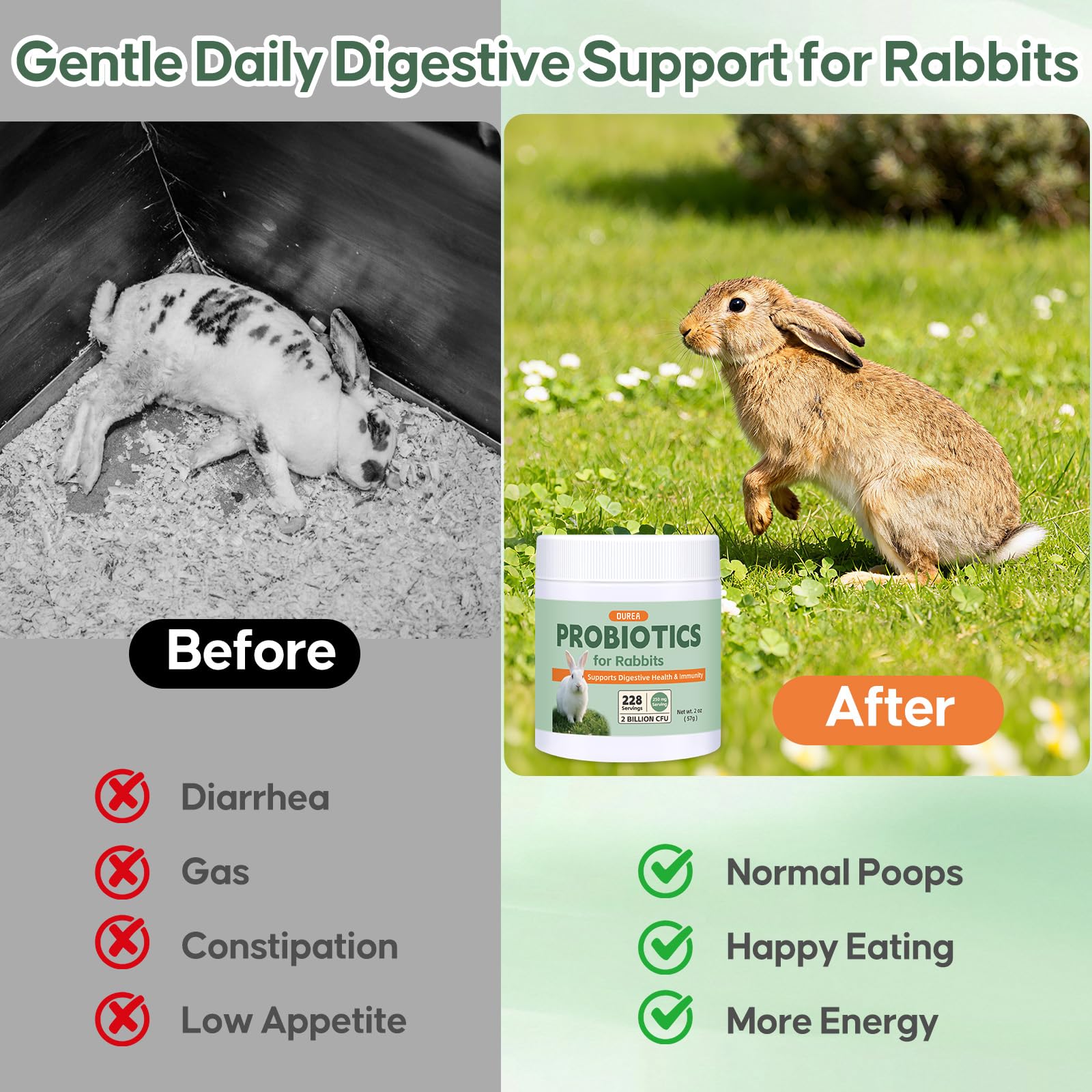 Probiotics for Rabbits, All-Natural Digestive Supplement with 2 Billion CFU, Daily Gut Health Support, Promotes Healthy Stool, Eases GI Discomfort, Immune Support Powder, 228 Servings
