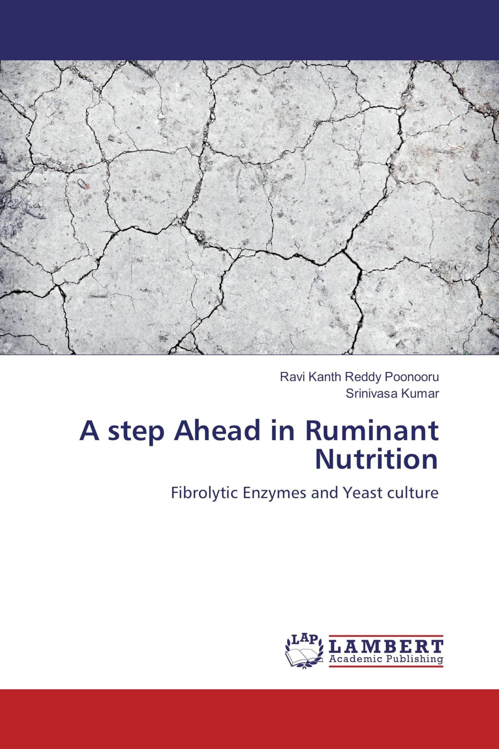 Culture de levure et enzymes fibrolytiques pour optimiser la rumination