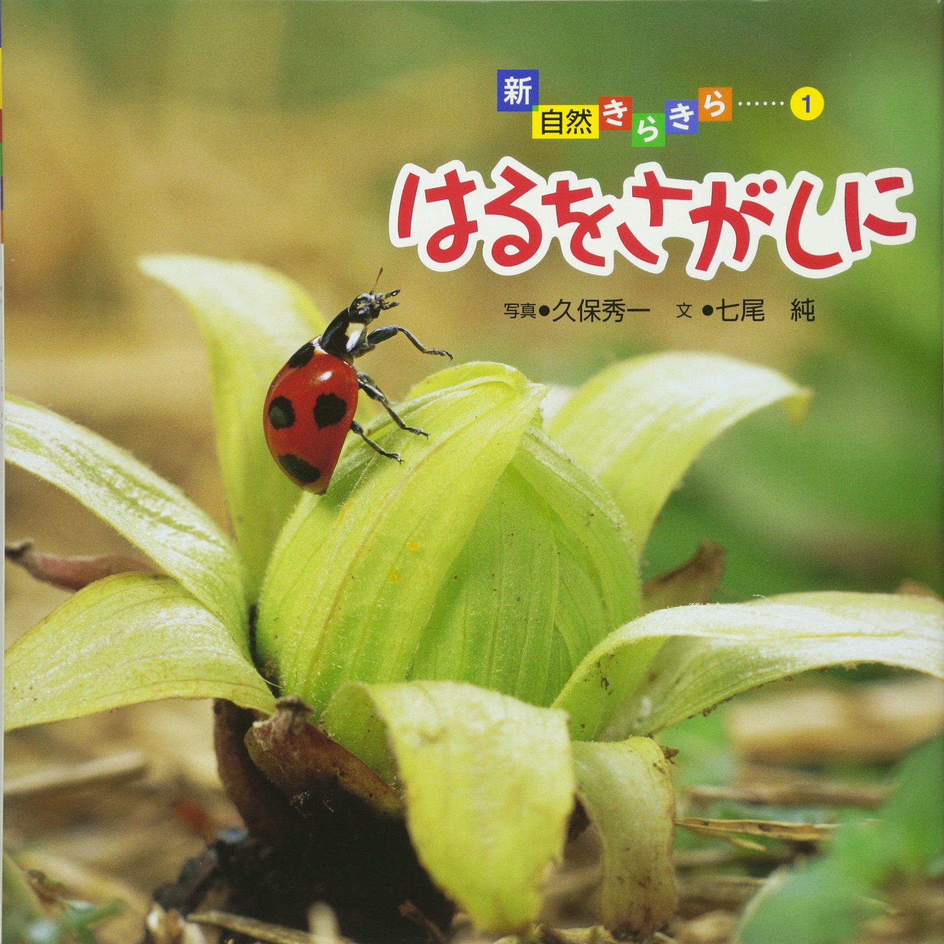 カラー版こどもの季節　ほるぷ出版　全12巻　図鑑　知育 七尾純 カラー版こどもの季節 ほるぷ出版 全12巻 図鑑 知育 七尾純