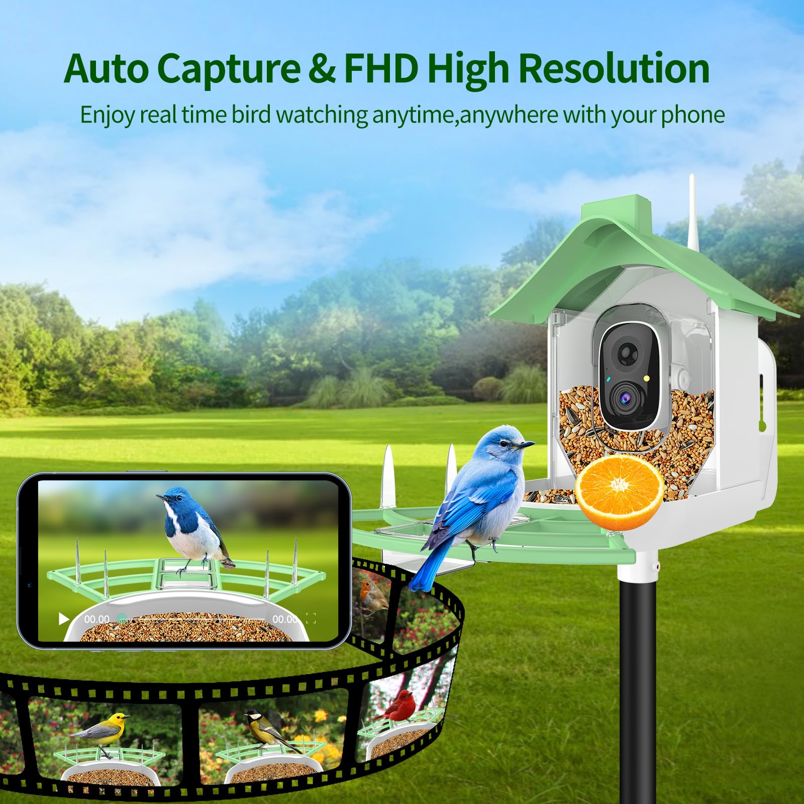 Comedero Pajaros Exterior Comedero Para Pájaros Con Cámara, Cámara De Vídeo  Hd 1080p Bird Feeder Camera, image size:1600x1600