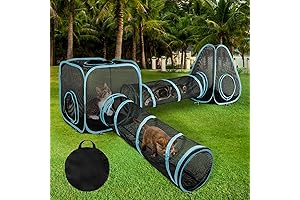 Sleek and Spacious Outdoor Cat Enclosure: Ultimate Freedom for Indoor Cats