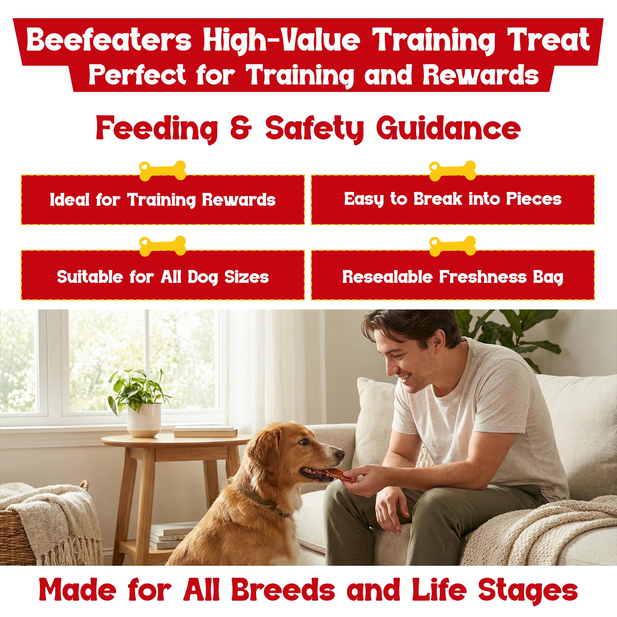 Beefeaters Chicken Jerky Strip Treats for Dogs | 38 oz