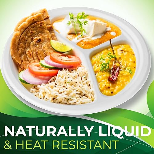 Miniatura 6 de 150 piezas 100% compostables platos de papel de 10 pulgadas, platos de fibra de caña de azúcar resistentes desechables ecológicos biodegradables de