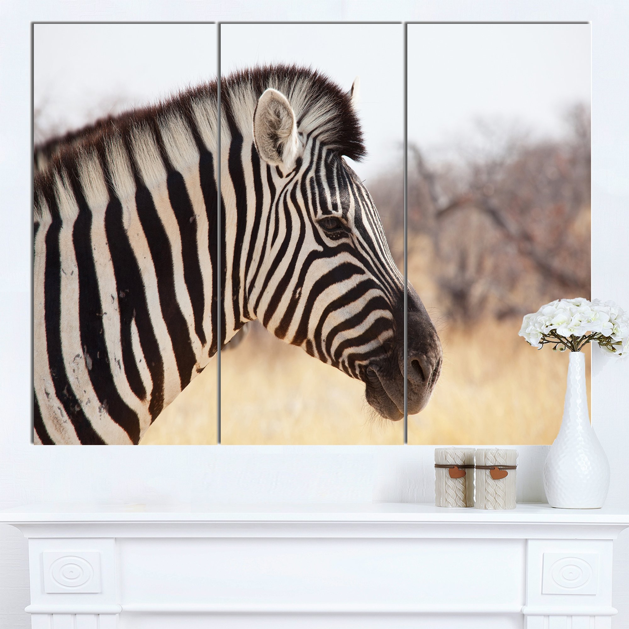 Zebra Wall Decor Close Up Zebra Black And White Photo Wallpaper