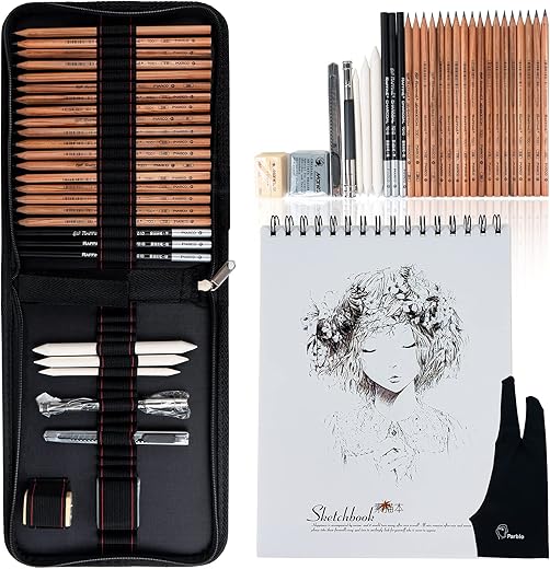 29 Pieces Professional Sketch & Drawing Art Tool Kit with Graphite Pencils, Charcoal Pencils, Paper Erasable Pen, Craft Knife-Lightwish (with Sketchbook, Canvas Rolling Pouch)